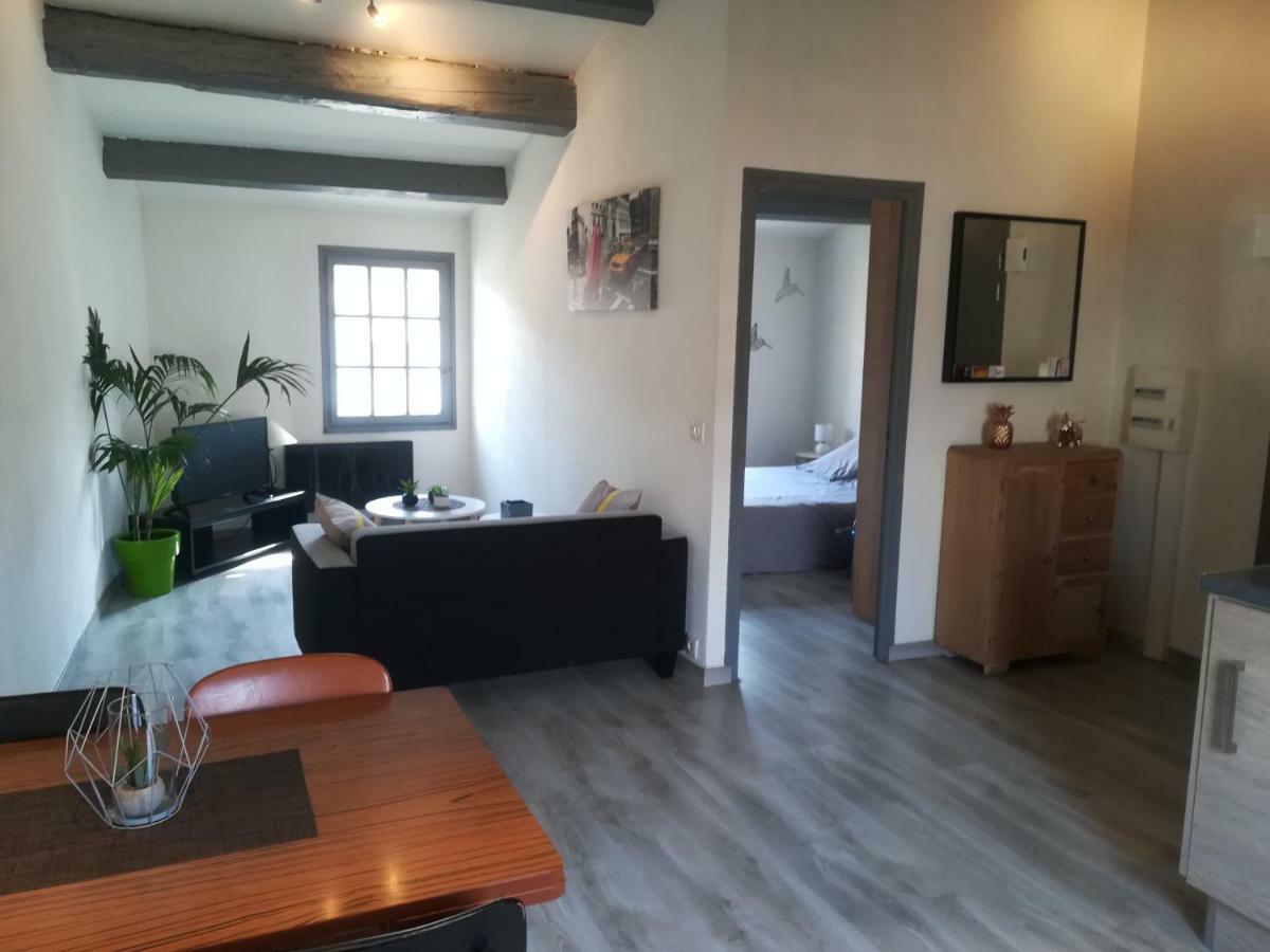Appartement "Le Passage" 50 Passage De L'Ancien Courrier Narbonne Kültér fotó
